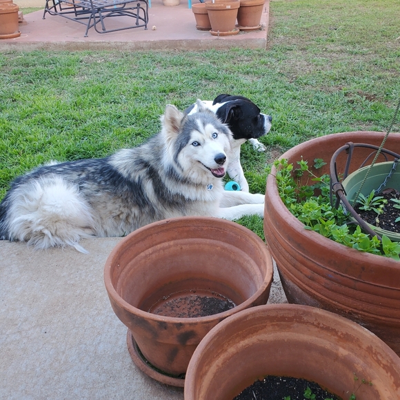 Meet your Posher, Michael - Picture 2 of 9